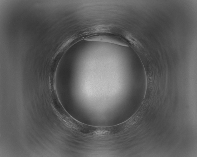 X0000054380158200507291126