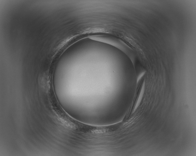 X0000054380160200507291126