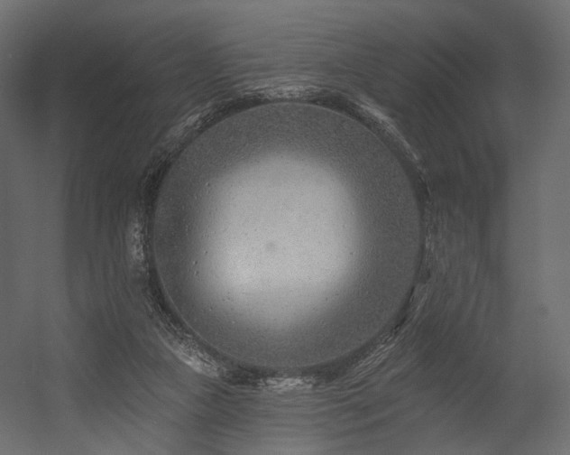 X0000054380161200507291127