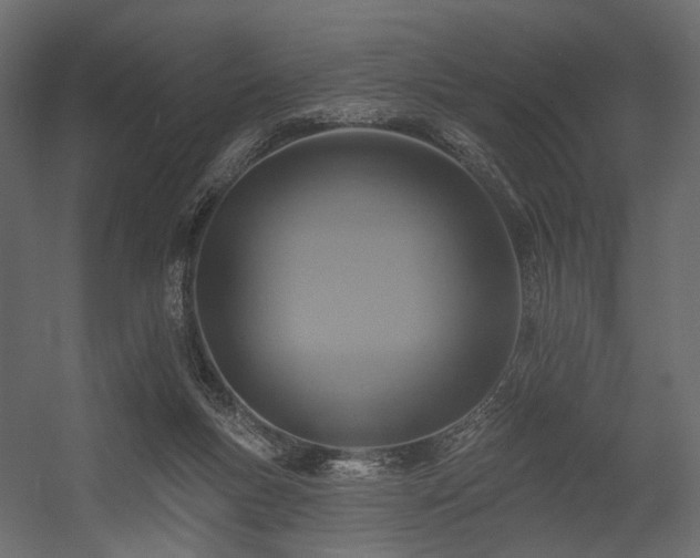 X0000054380167200507291127