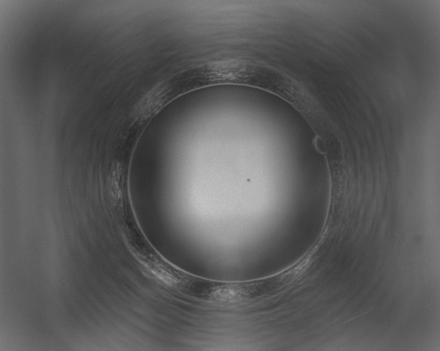 X0000054380174200507291127