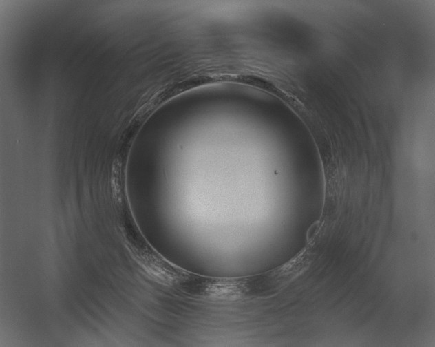 X0000054380175200507291127