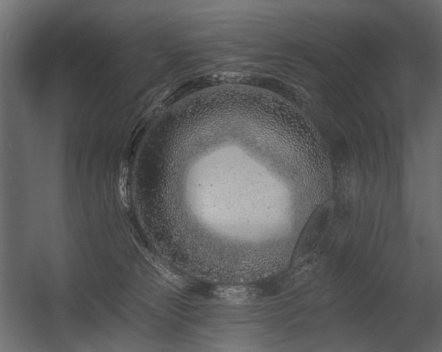 X0000054380181200507291127
