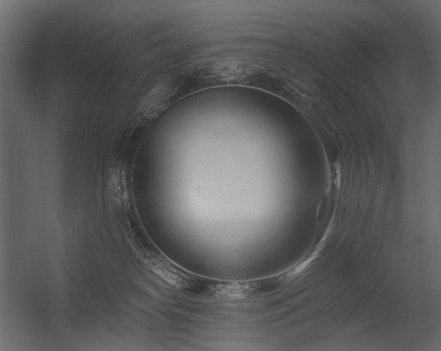 X0000054380182200507291127