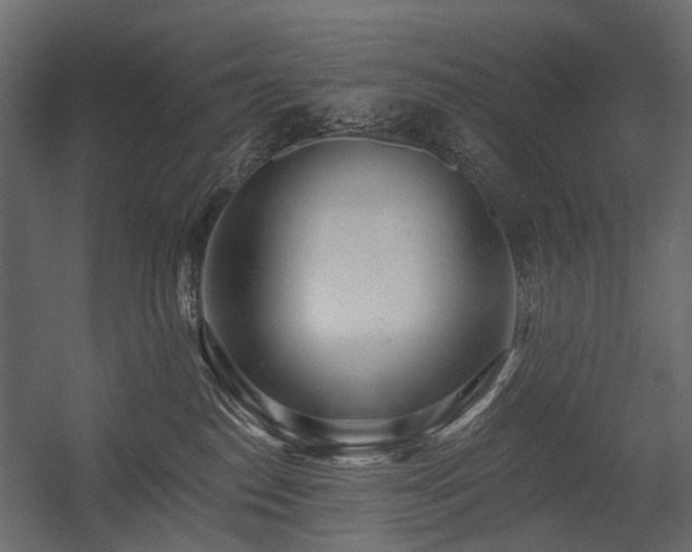 X0000054380186200507291127
