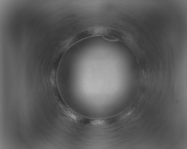 X0000054380189200507291127