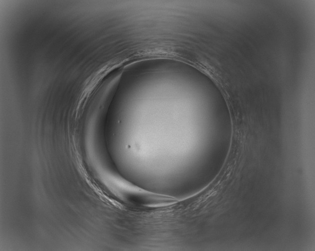 X0000054380193200507291126