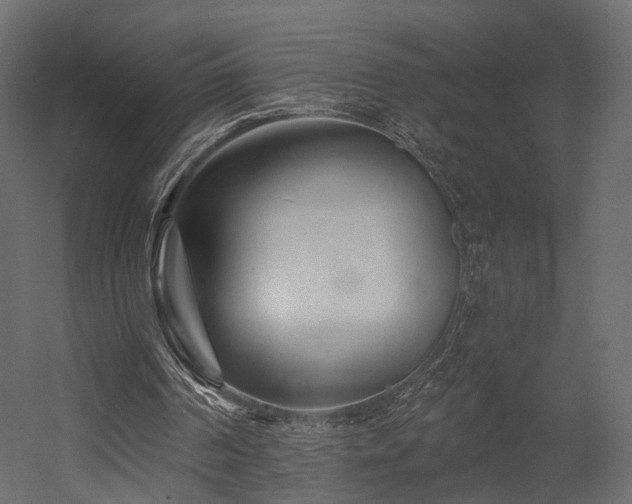 X0000054380194200507291126