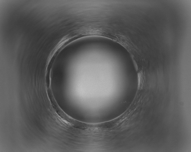 X0000054380195200507291126