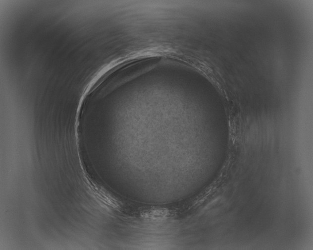 X0000054380196200507291126