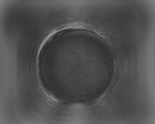 X0000054380200200507291126