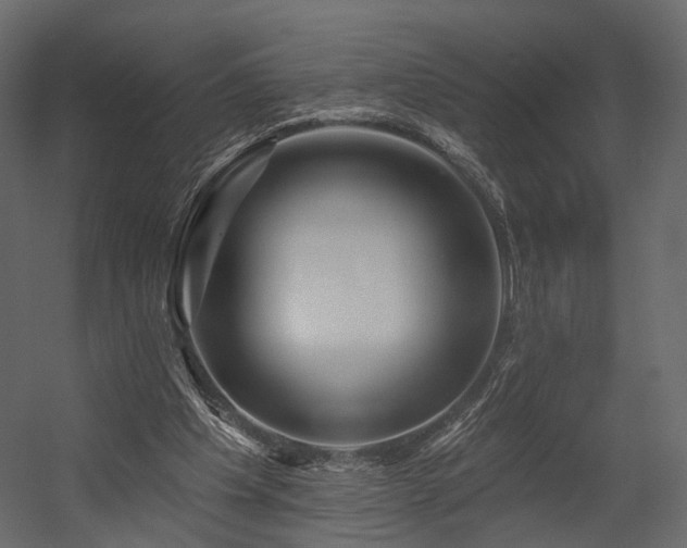 X0000054380201200507291126