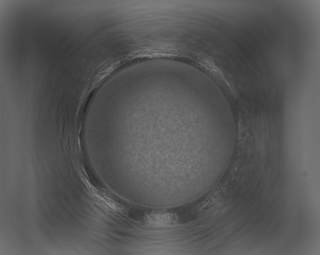 X0000054380202200507291126