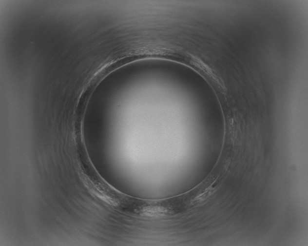 X0000054380203200507291126