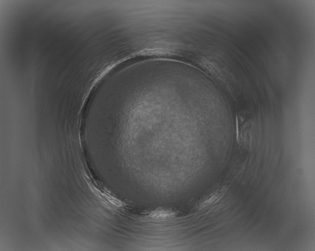 X0000054380204200507291126