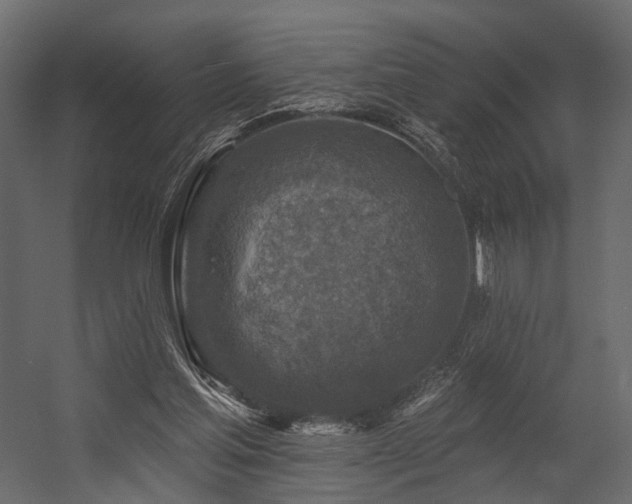 X0000054380205200507291126