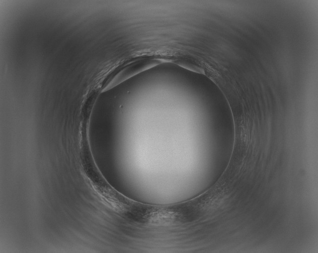X0000054380206200507291126