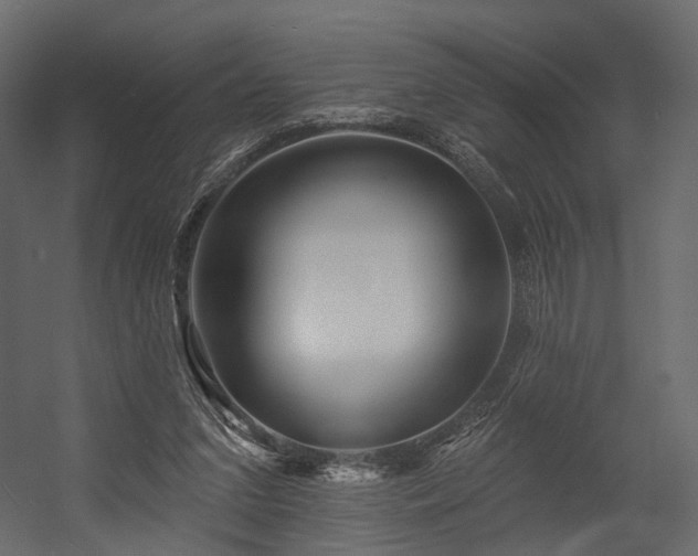X0000054380207200507291126