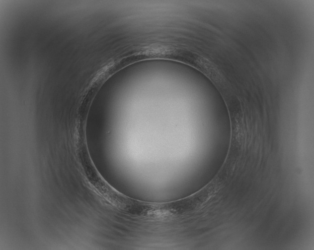X0000054380208200507291126