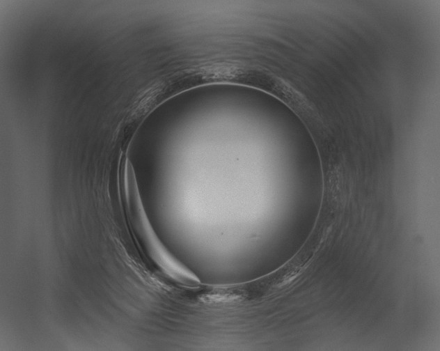 X0000054380209200507291126