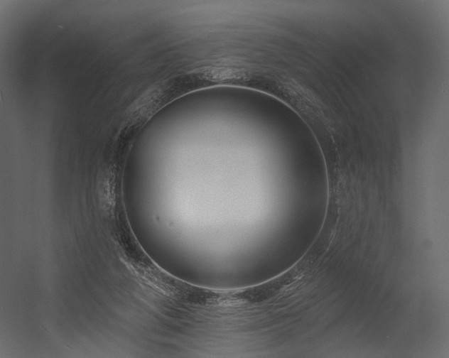 X0000054380210200507291126
