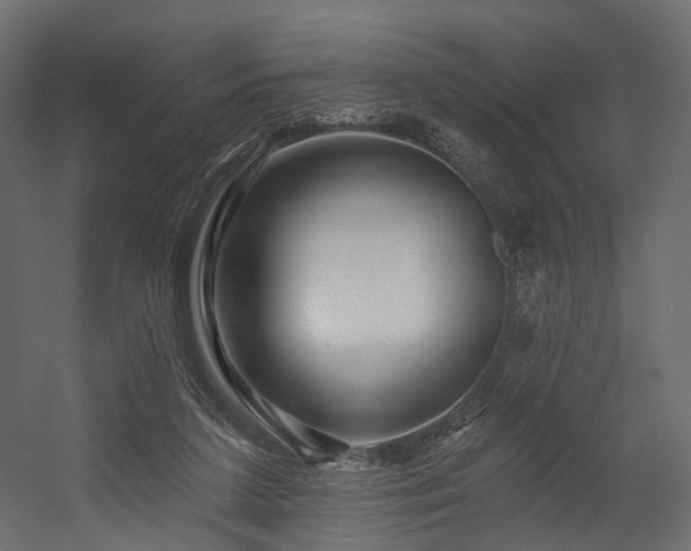X0000054380211200507291126