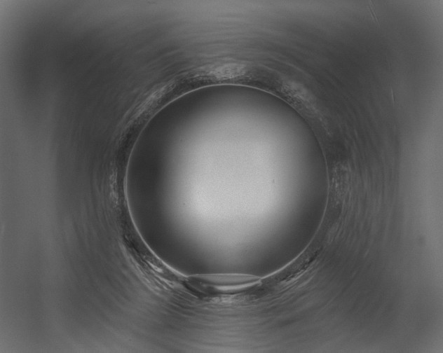 X0000054380212200507291126