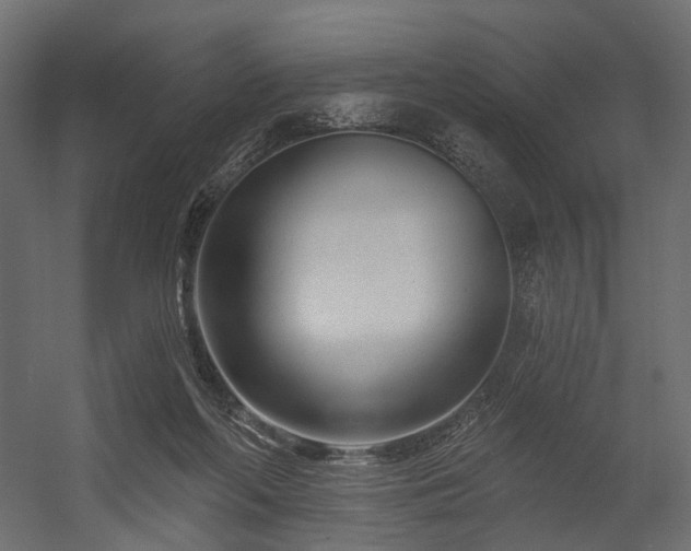 X0000054380214200507291126
