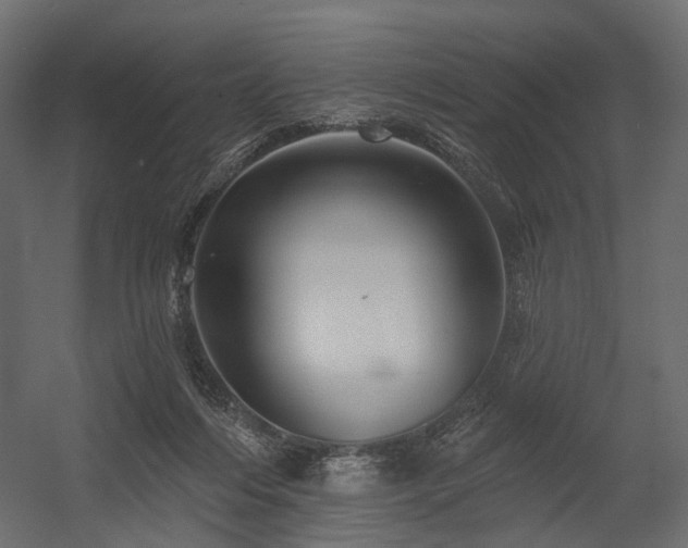 X0000054380216200507291126