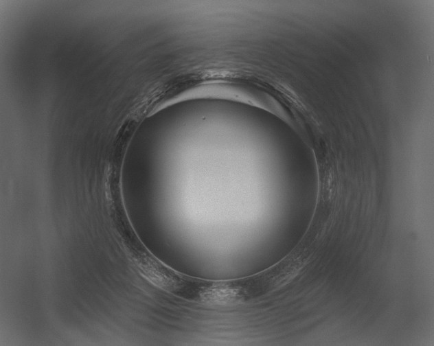 X0000054380217200507291126