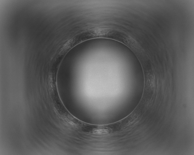 X0000054380220200507291126