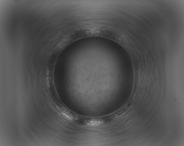 X0000054380223200507291126