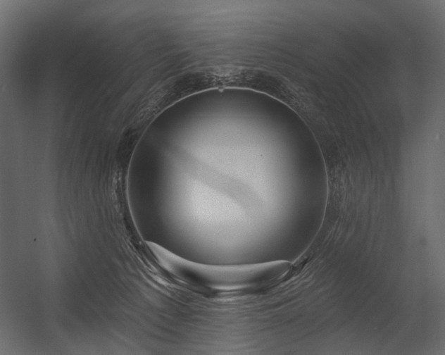 X0000054380225200507291126