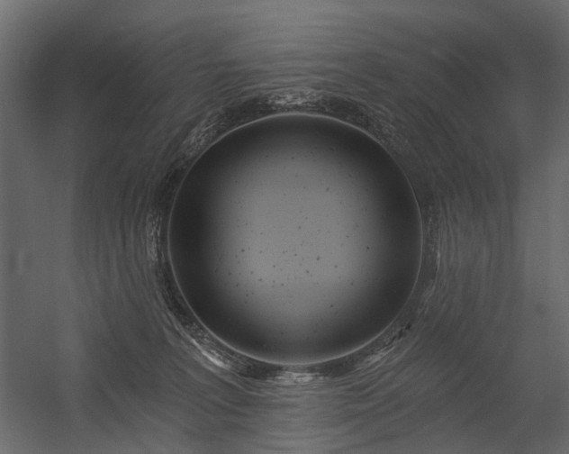X0000054380227200507291126