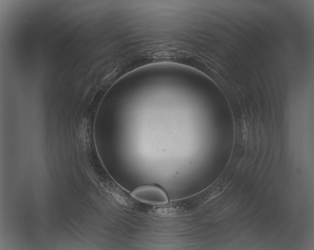 X0000054380228200507291126