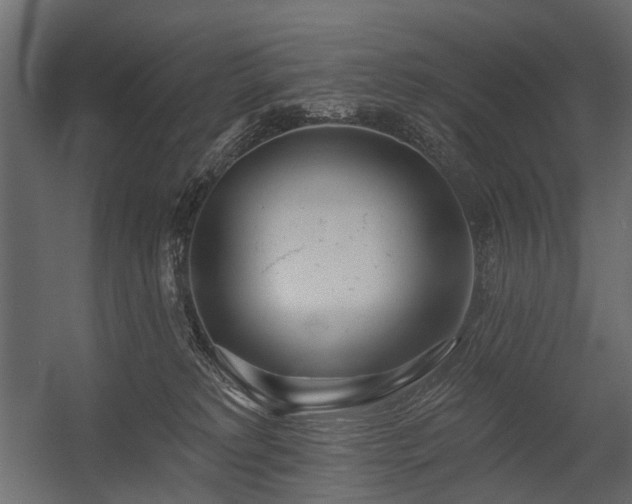 X0000054380229200507291126