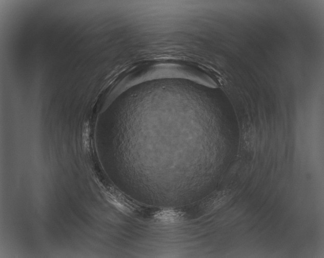 X0000054380231200507291126