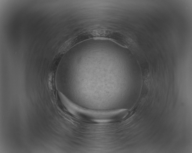 X0000054380233200507291126