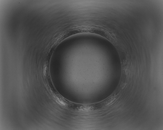 X0000054380235200507291126