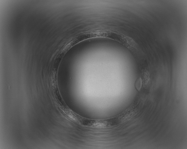 X0000054380236200507291125
