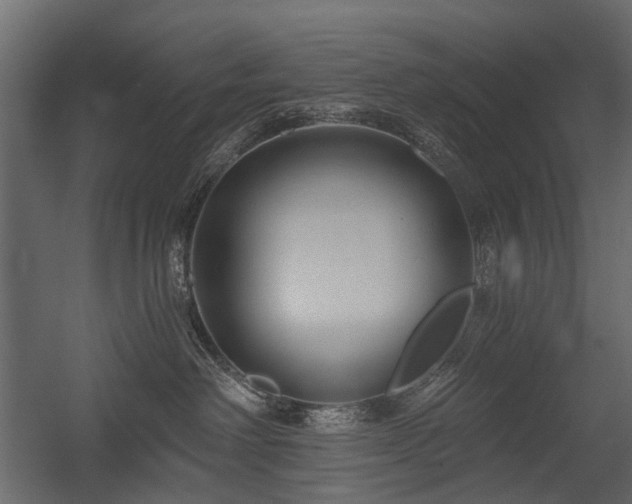 X0000054380238200507291125