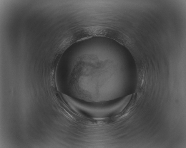 X0000054380239200507291125