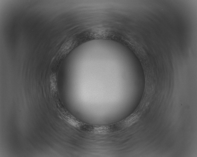 X0000054380240200507291125