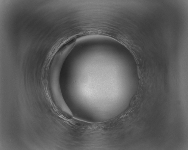 X0000054380241200507291125