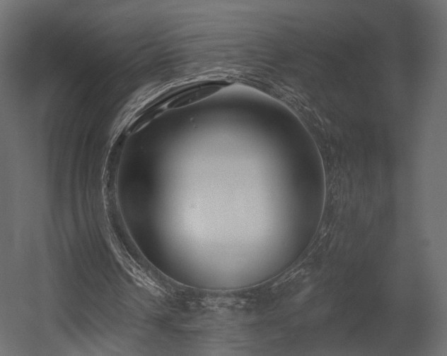 X0000054380242200507291125