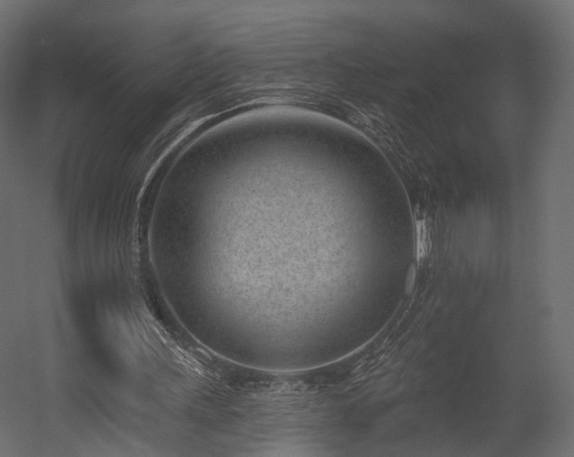 X0000054380243200507291125