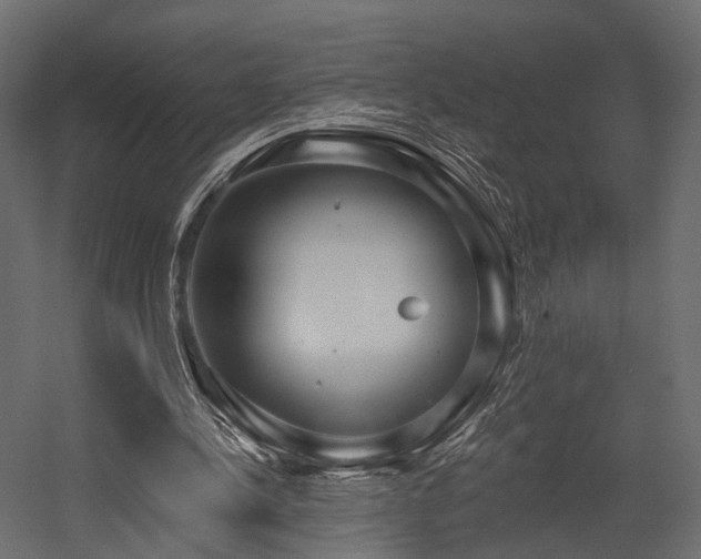 X0000054380244200507291125