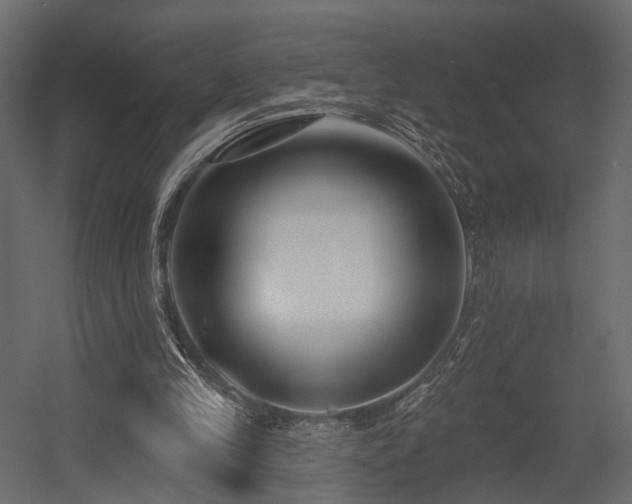 X0000054380245200507291125