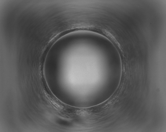 X0000054380249200507291125