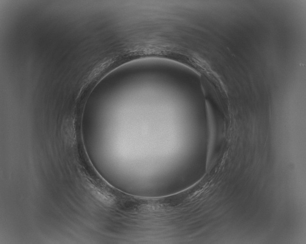 X0000054380250200507291125